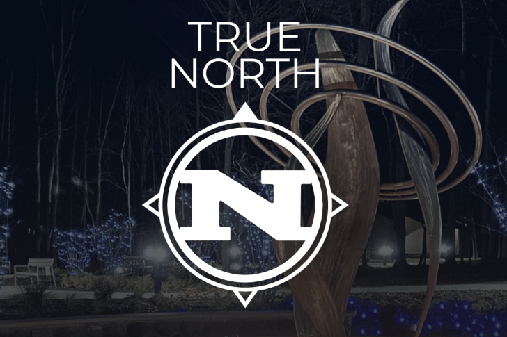 A stylized "N" logo with the words "TRUE NORTH" overlays a nighttime scene with blue-lit trees and a modern sculpture.