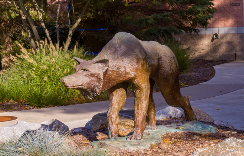 Bronze statue of a wolf standing on a base, located in an outdoor area with trees and a building in the background.