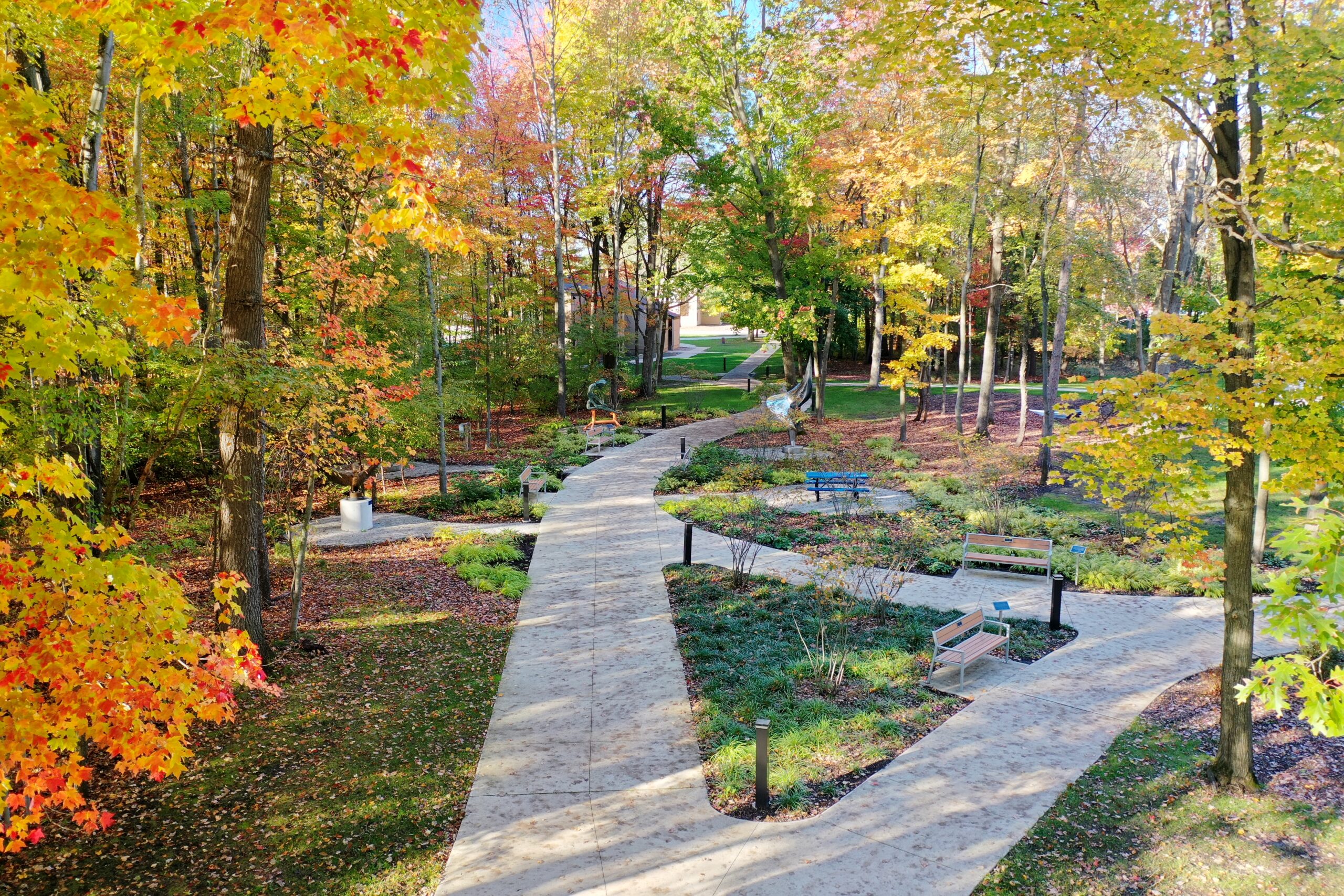 Northwood University mall walk during the fall time, with orange and red leaves and paths with trees