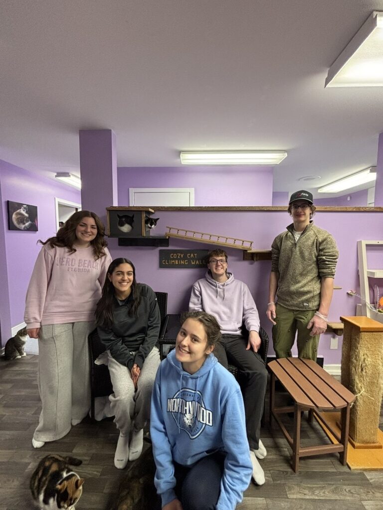 Five people from the Student Honors Association pose and smile in a room with purple walls. There are cats and a large cat climbing wall in the background. Some people are seated while others stand.